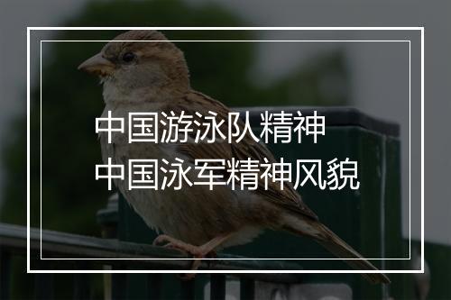 中国游泳队精神　中国泳军精神风貌